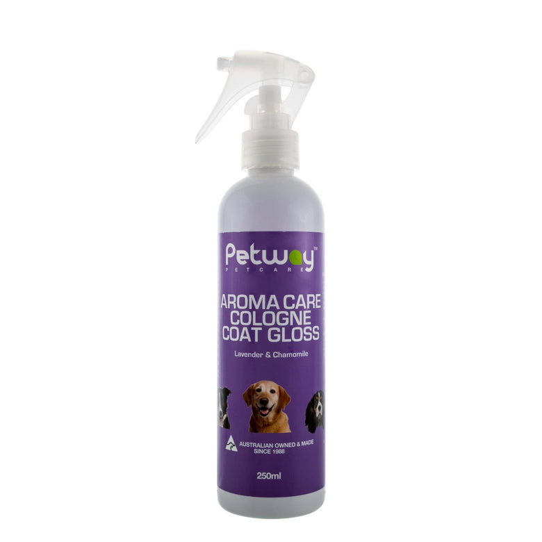Shop pet care